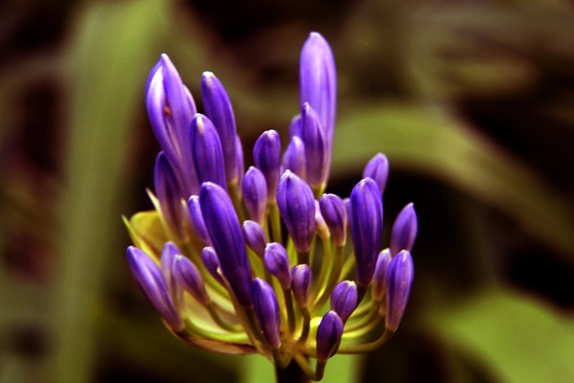 如愿保级 如愿保级