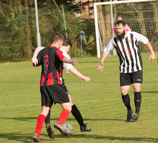 尽管未能回 尽管未能回