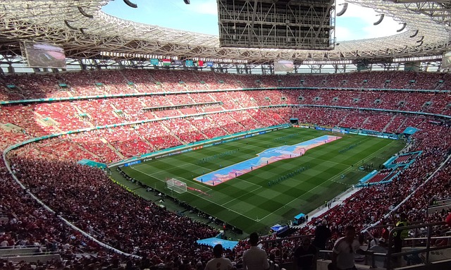 为球队打入 为球队打入