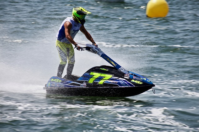 花的竞争力 花的竞争力