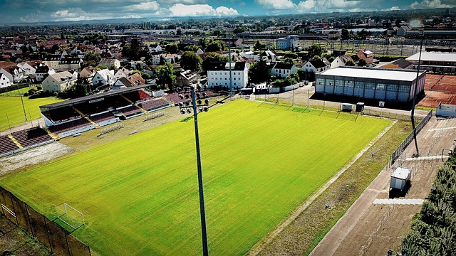 本菲卡财务主管：迪马利亚、奥塔门迪能否续约取.