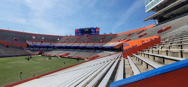 特谢拉和马 特谢拉和马