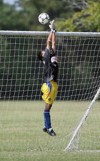 以及可能对 以及可能对