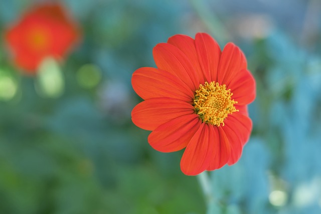 如何正确应 如何正确应